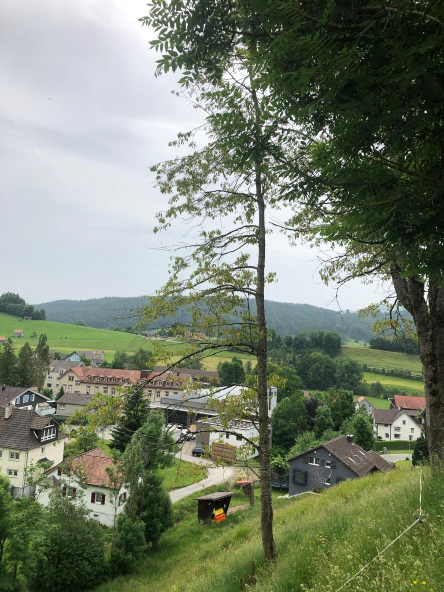 Mit Aussicht